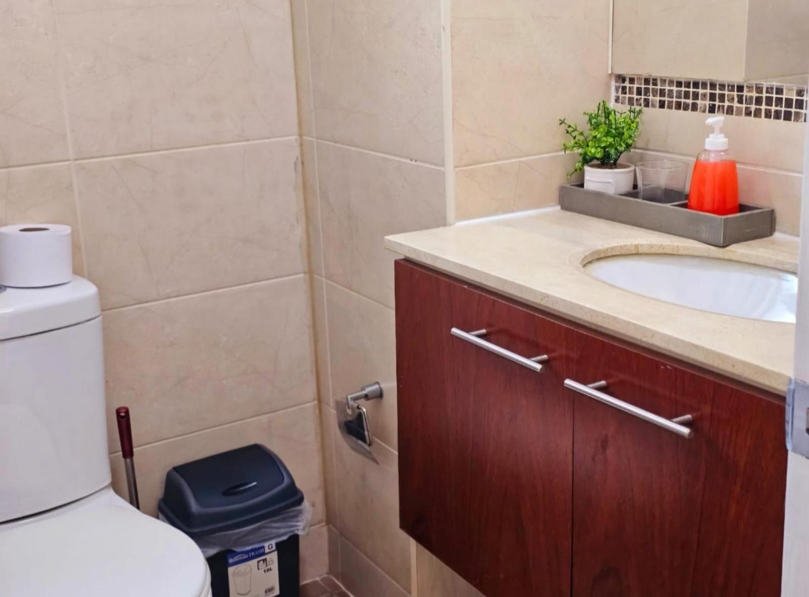 Apart Hotel Suagon Suites Santiago Centro מראה חיצוני תמונה